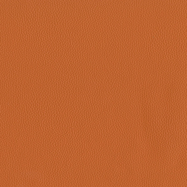 Viceroy