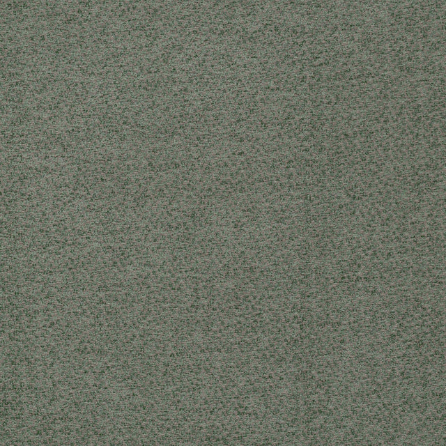 Borg