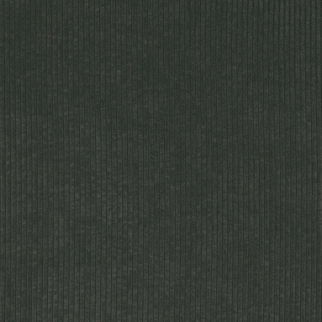 Fjord