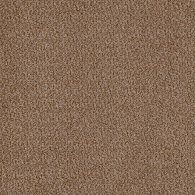 Vinci