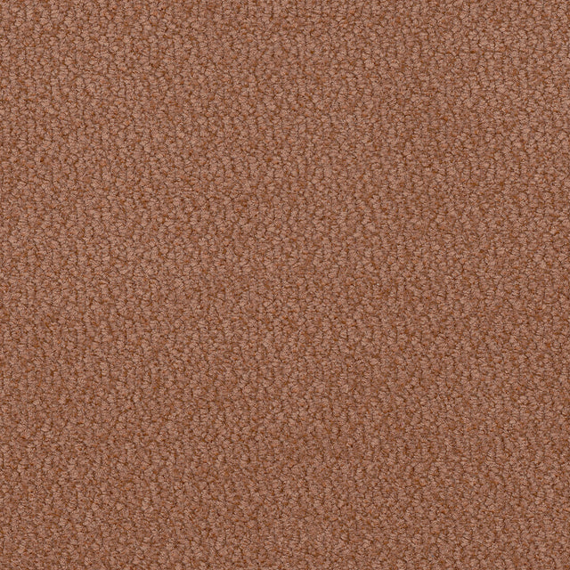 Vinci