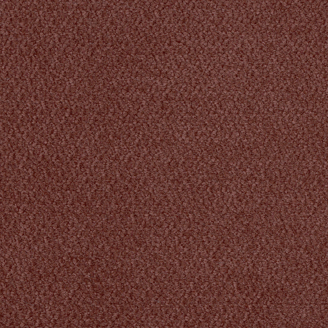 Vinci