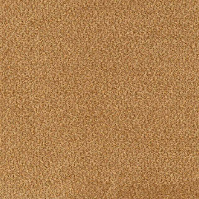 Vinci