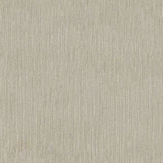 Albatros