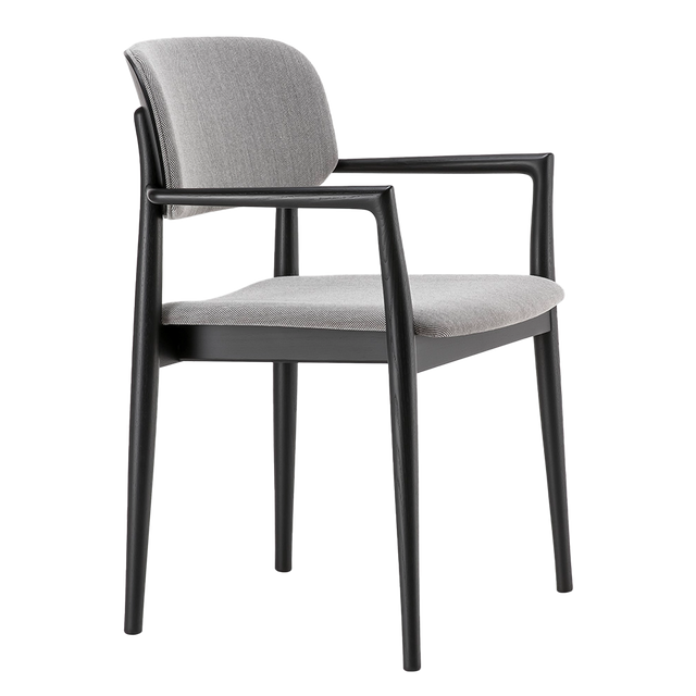 Trisby Padded Back Arm Chair