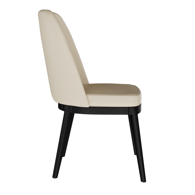 Sun Side Chair