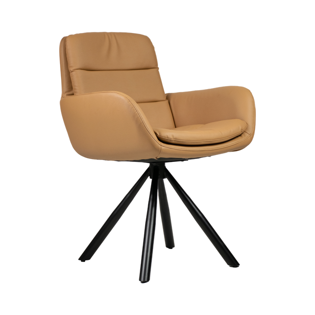 Frank Upholstered Arm Chair