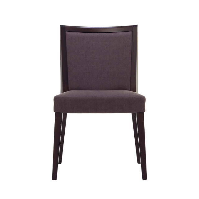 Zena Upholstered Back Chair