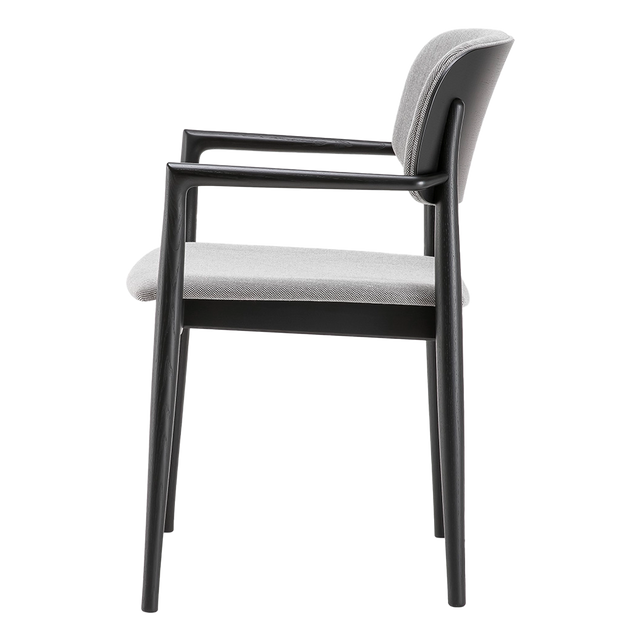 Trisby Padded Back Arm Chair