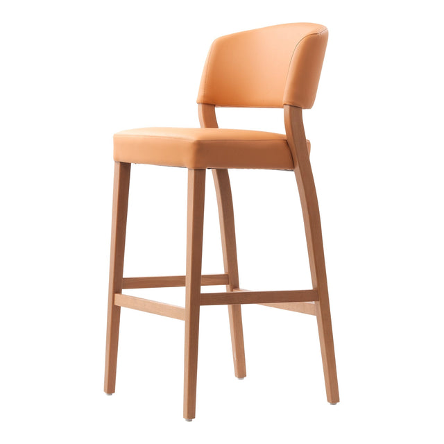 Beatriz Upholstered Stool