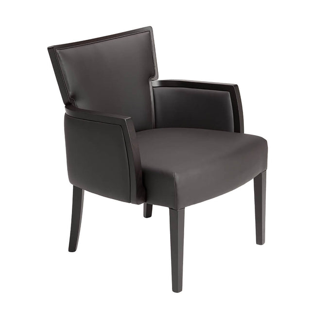 Adi Lounge Chair