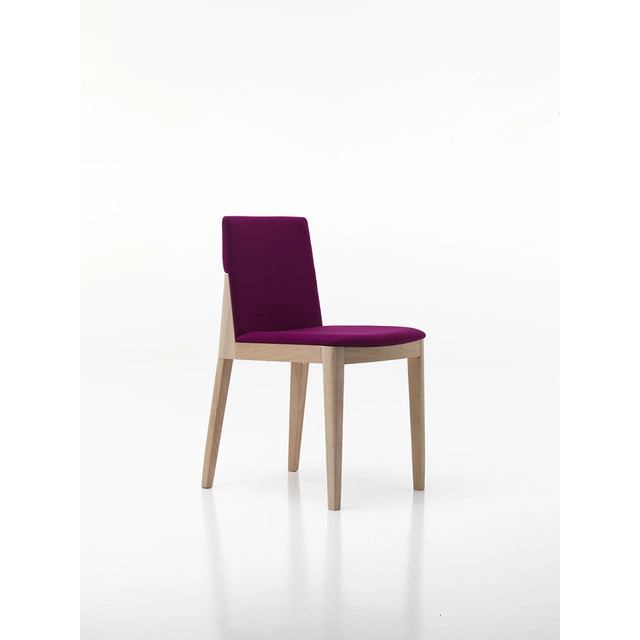 Allure Modern Wood Chair