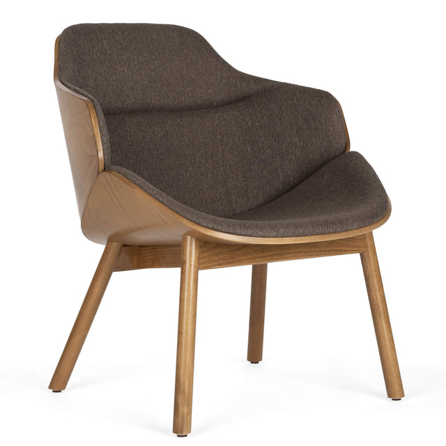 Cleo Arm Chair