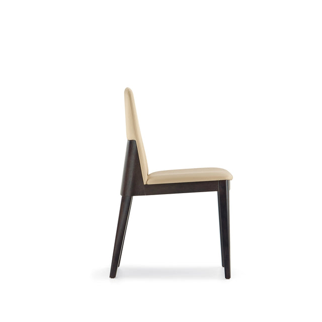 Allure Modern Wood Chair