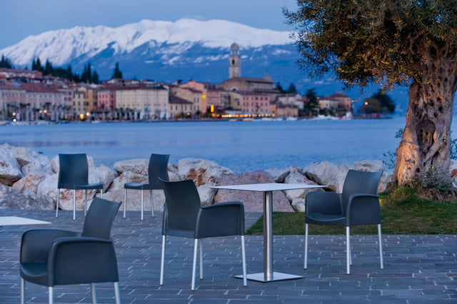 Ice Modern Arm Chair