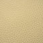 Canyon