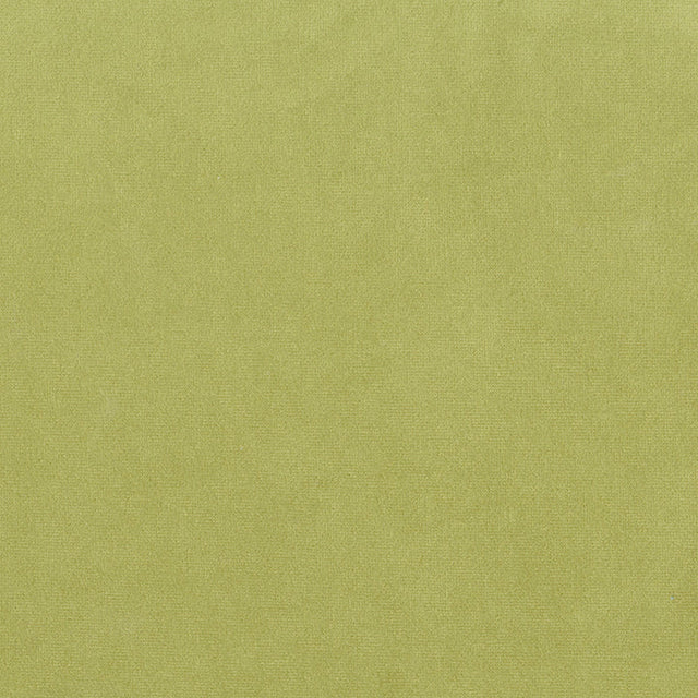 Chronicle