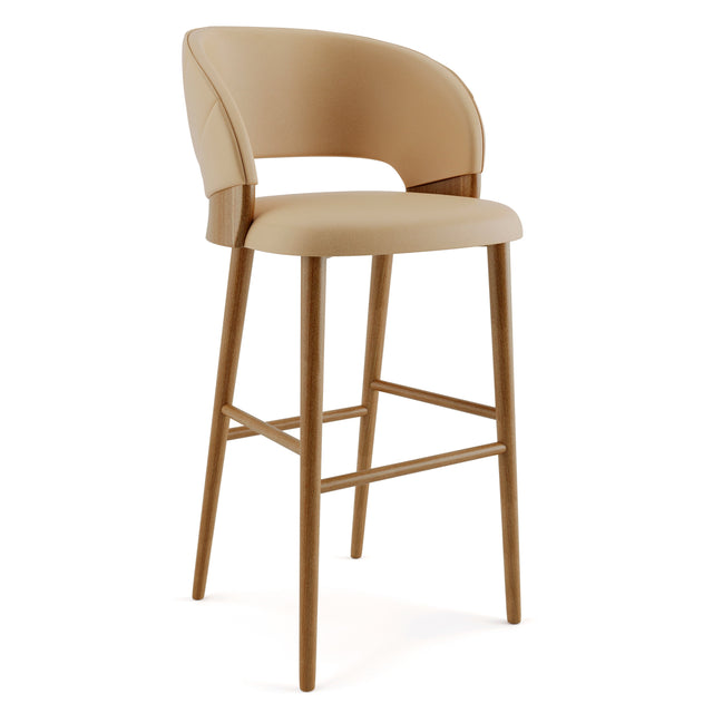 Conch Luxury Wood Stool