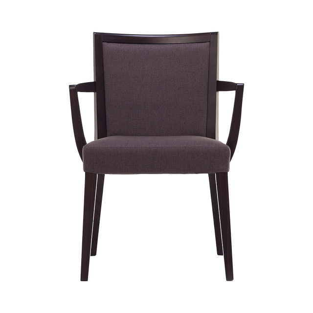 Zena Upholstered Back Arm Chair