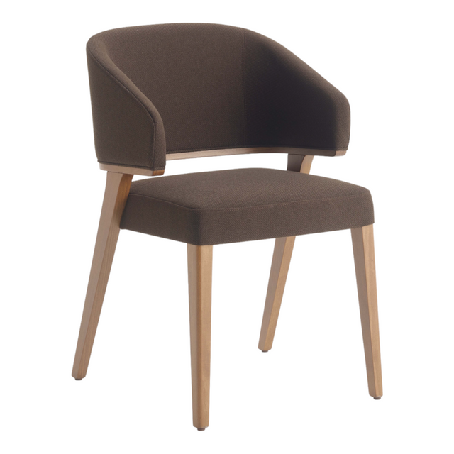 Lunez Upholstered Arm Chair