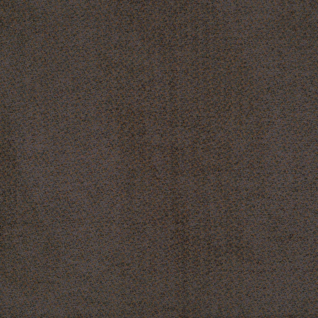 Borg