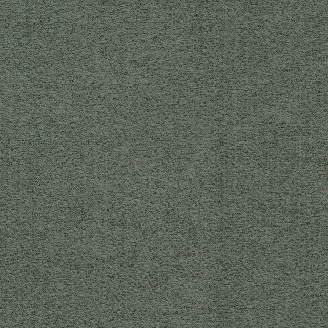 Borg