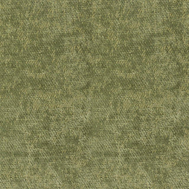 Divo