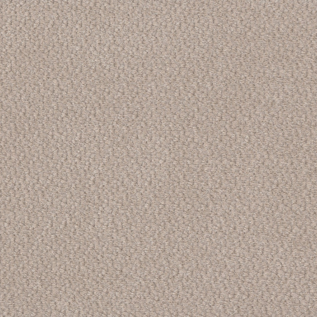 Vinci