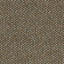Caprio