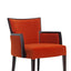 Adi Lounge Chair