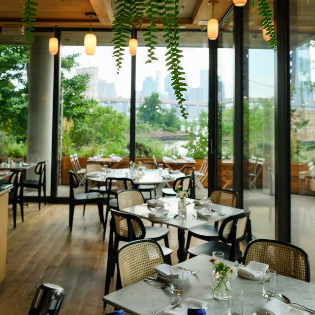 Celestine Restaurant - Brooklyn, NY