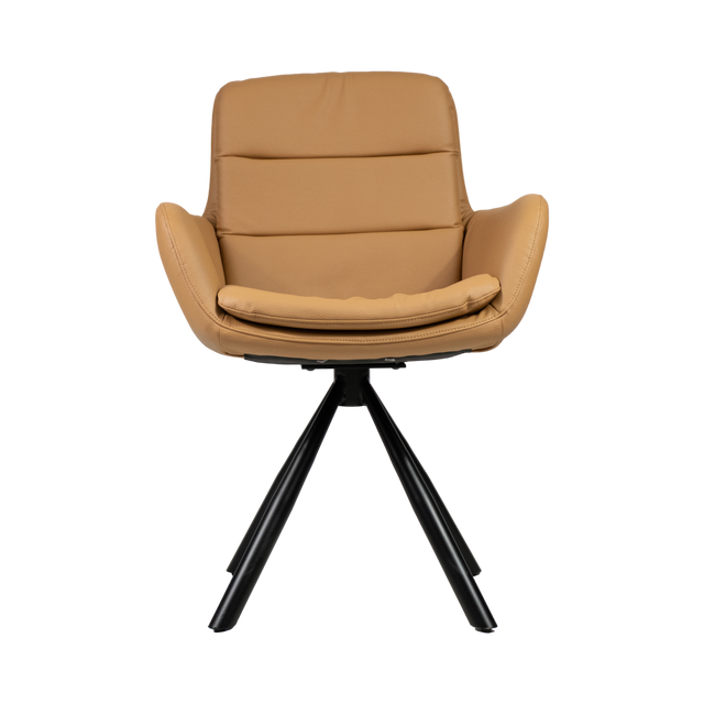 Frank Upholstered Arm Chair
