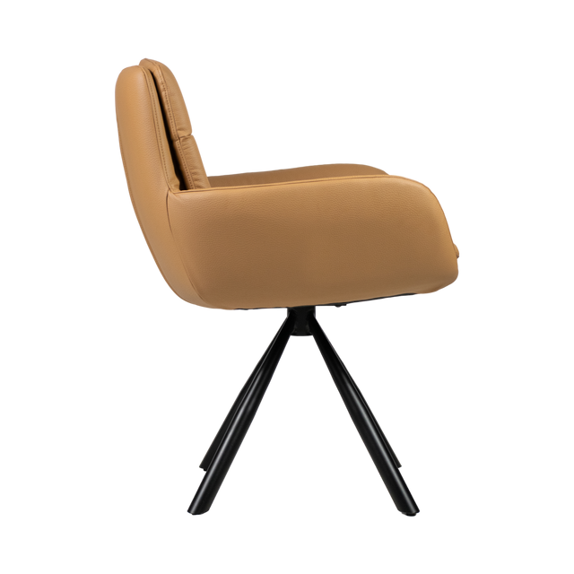 Frank Upholstered Arm Chair