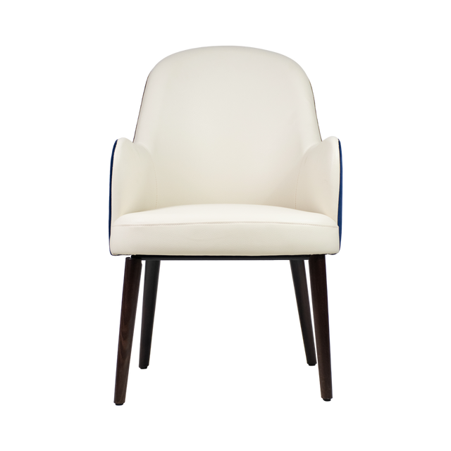 Roni Lounge Arm Chair