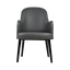 Roni Lounge Arm Chair
