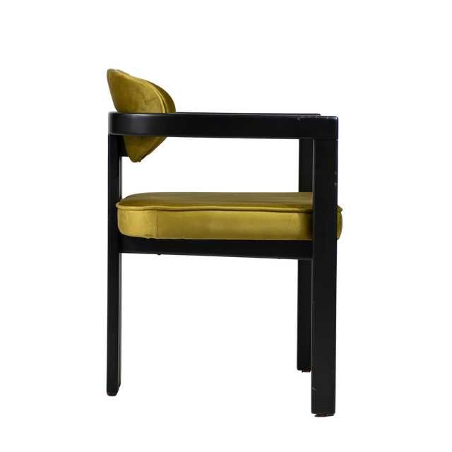 Kian Wood Arm Chair