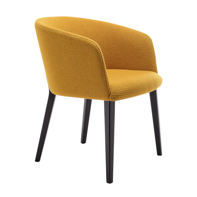 Isabella Arm Chair