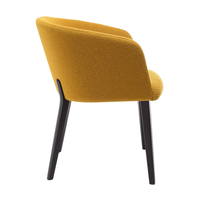 Isabella Arm Chair
