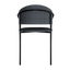 Greg Arm Chair
