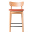 Matt Bar Stool