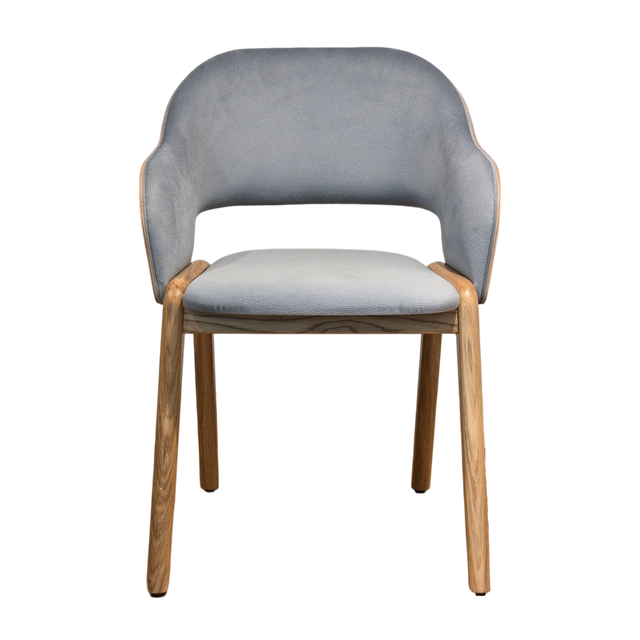 Yara Upholstered Arm Chair