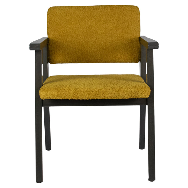 Aria Upholstered Arm Chair