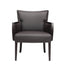 Adi Lounge Chair