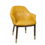 Orson Upholstered Arm Chair