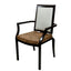 Tepic Aluminum Wood Look Arm Chair